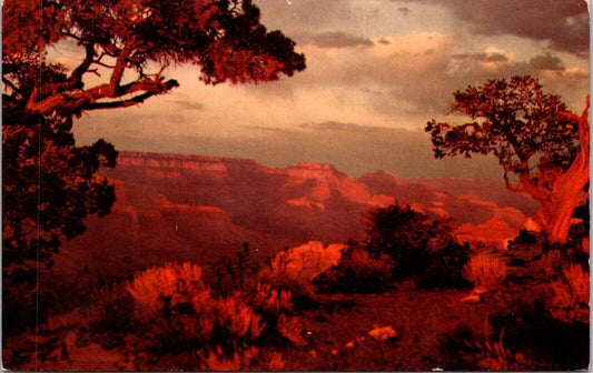 Postcard Grand Canyon Hopi Point