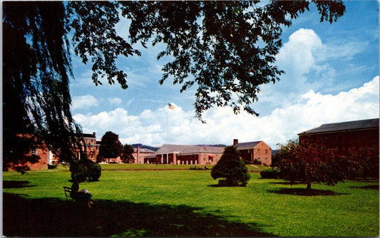 Postcard Brevard College North Carolina Liberal & Practical Arts