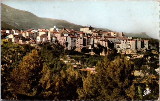 Postcard Real Photo Tourrette Sur Loup