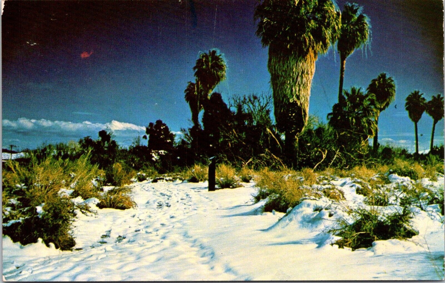 Postcard High Desert in Winter FS-390 California