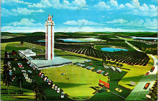 Postcard Clermont Florida Citrus Observation Tower