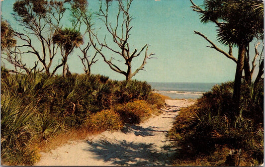 Postcard Beaufort South Carolina Coastal Scene