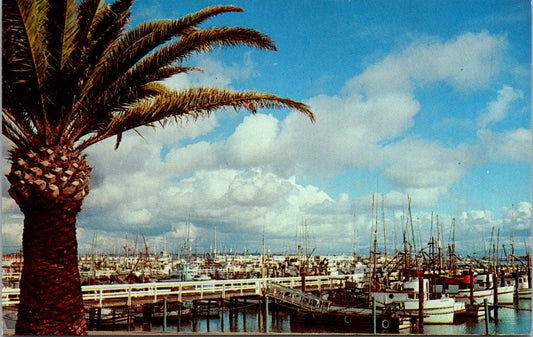 Vintage Postcard Yatch Basin San Diego California United States Unposted