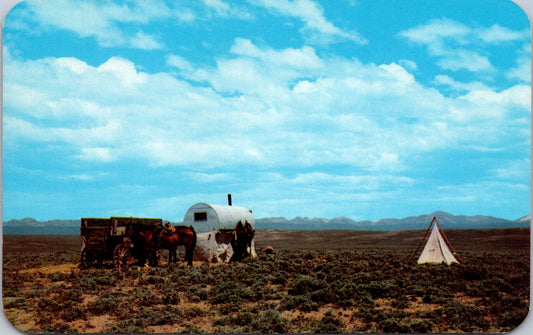 Vintage Postcard Out On The Lane Prairie Sheep Herders Wagon Colorado Unposted