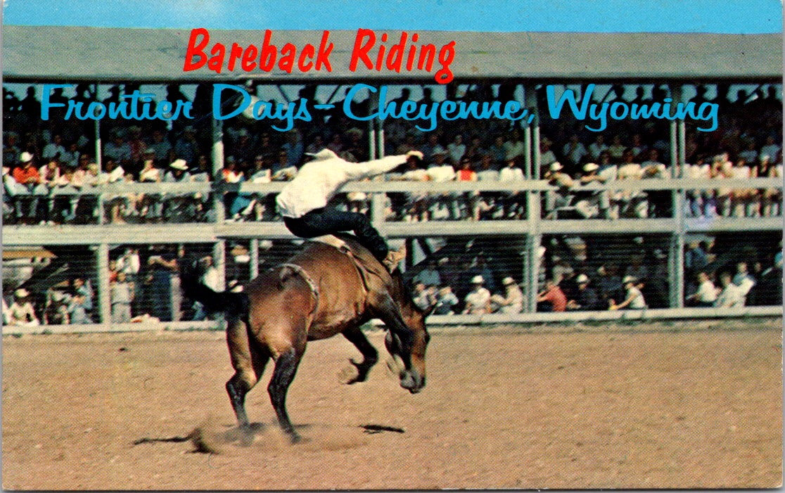 Vintage Postcard Bareback Riding Frontier Days Cheyenne Wyoming United States