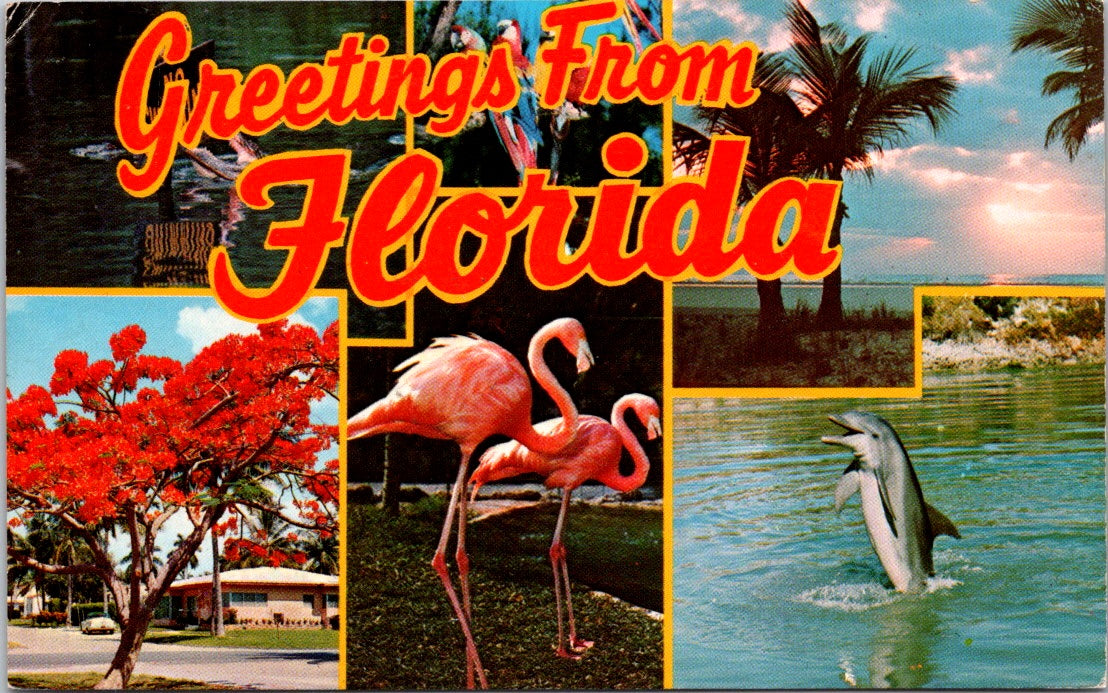 Vintage Postcard Greetings From Florida Land Of Sunshine Beauty And Fun