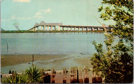 Vintage Postcard John Matthew's Bridge St. John's River Jacksonville Florida