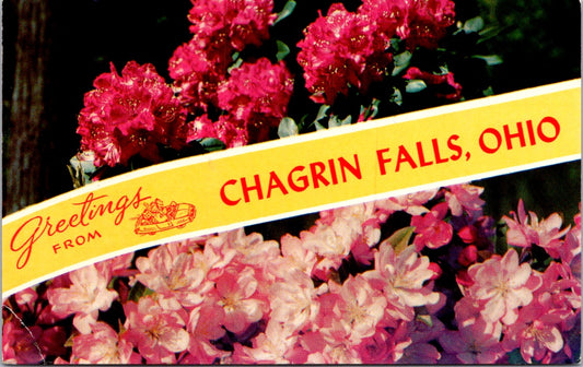 Vintage Postcard Flowers Greetings From Chagrin Falls Ohio United States