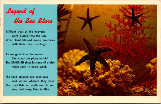 Vintage Postcard Legend Of The Sea Stars Posted 1963 Florida Unposted