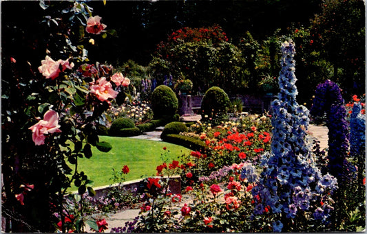 Vintage Postcard Delphinium At The Butchart Gardens British Columbia Canada