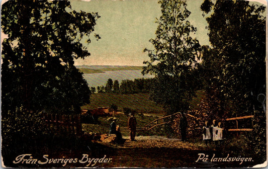 Vintage Postcard On The Country Road Sweden Settlement Unposted