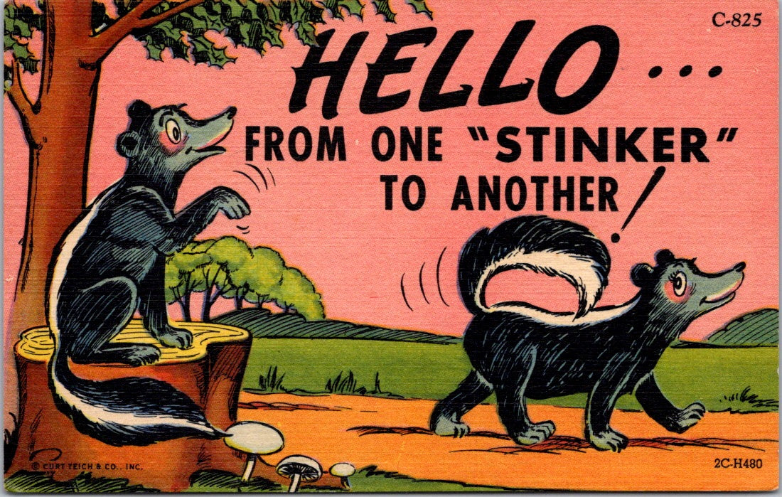 Vintage Postcard Hello From One Stinker To Another Unposted