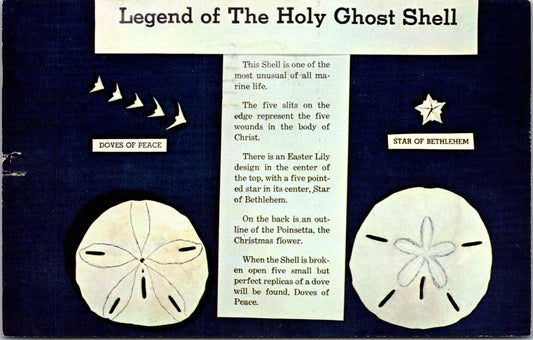 Vintage Postcard The Legend of The Holy Ghost Shell Posted 1963