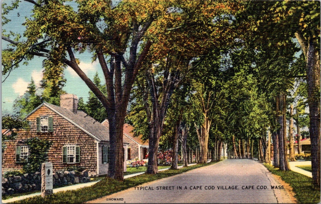 Vintage Postcard A Typical Street On Cape COD Massachusetts United States