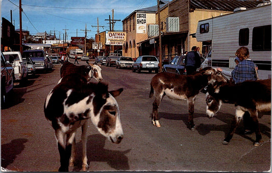 Vintage Postcard Route 66 The Colorado River Series Oatman Arizona Unposted