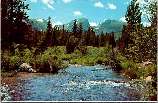 Vintage Postcard Rocky Mountain National Park Colorado Glacier Creek Unposted