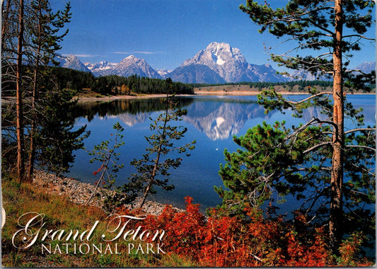 Vintage Postcard The Grand Teton National Park Wyoming United States Unposted