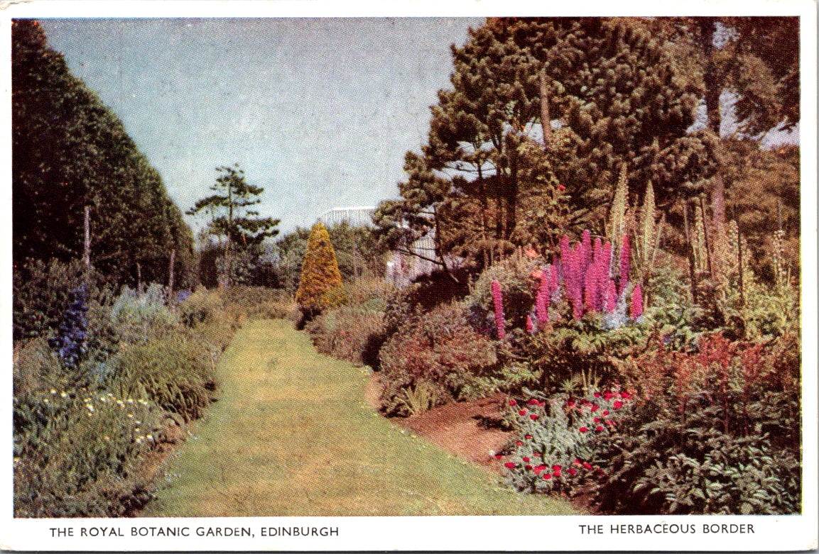 Vintage Postcard The Royal Botanic Garden Edinburgh Texas United States Unposted