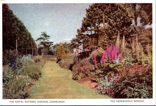 Vintage Postcard The Royal Botanic Garden Edinburgh Texas United States Unposted