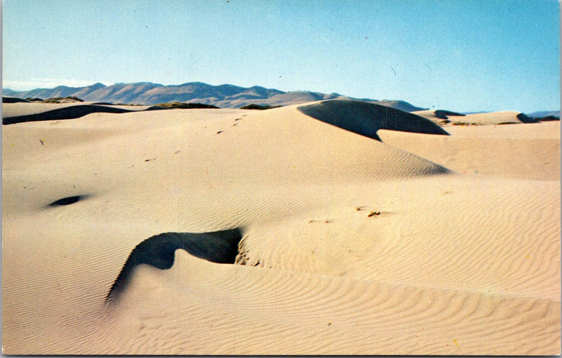 Vintage Postcard The Beautiful Sand Dunes Columbia Unposted