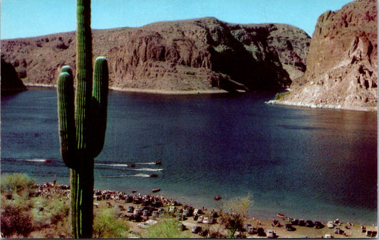 Vintage Postcard The Canyon Lake Arizona United States Unposted