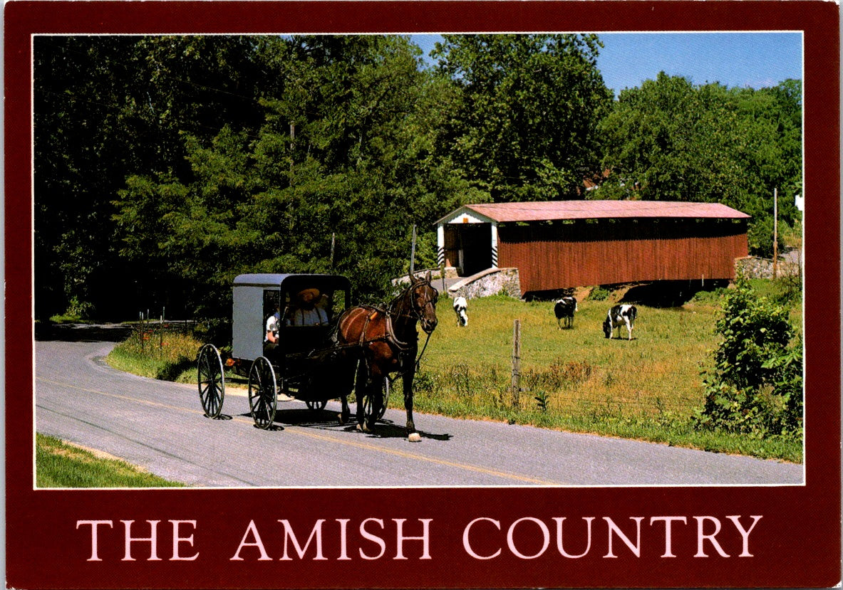 Vintage Postcard Greetings From The Amish Country Pennsylvania United States