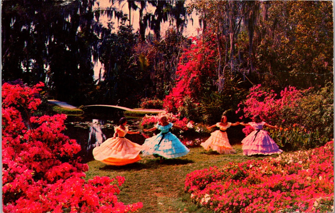 Vintage Postcard Happy Times In A Florida Garden United States Posted 1973