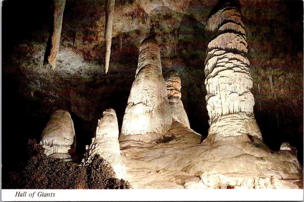 Vintage Postcard Halls Of Giants Carlsbad Caverns National Park New Mexico