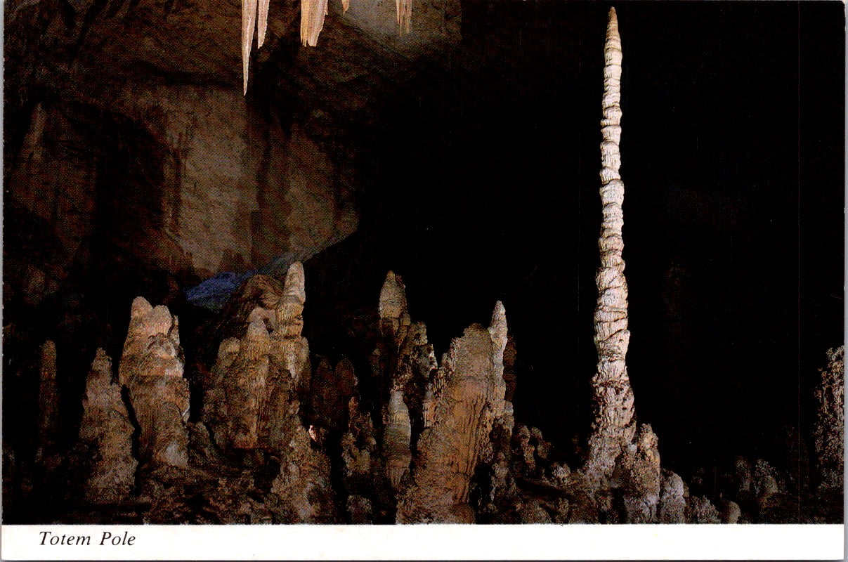 Vintage Postcard Totem Pole Carlsbad Caverns National Park New Mexico Unposted