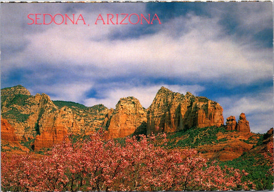 Vintage Postcard Pink Blossom And Soft Clouds Sedona Arizona United States