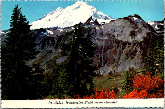 Vintage Postcard North Baker Washington States North Cascades United States