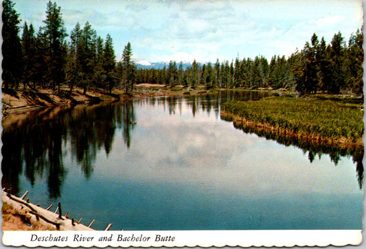 Vintage Postcard Deschutes River And Bachelor Butte Oregon Uniteed States