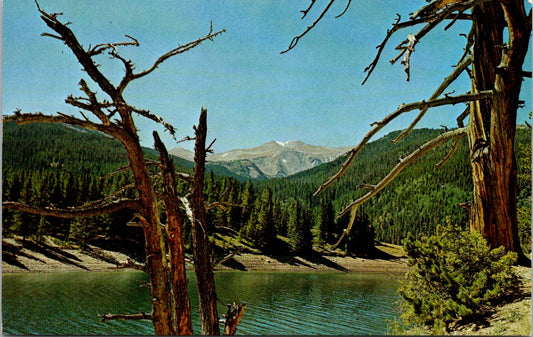 Vintage Postcard Chambers Lake And Clark Peak Colorado United States Unposted