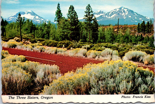 Vintage Postcard The Three Sisters Portland Oregon United States Unposted