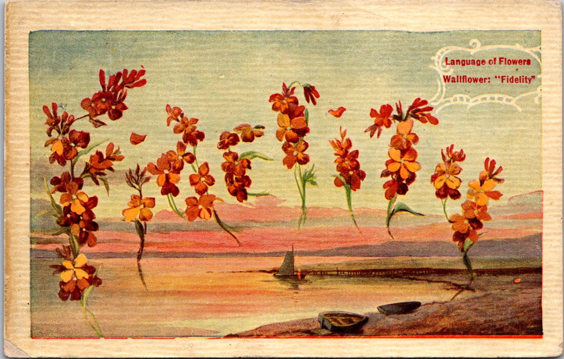 Vintage Postcard Language Of Flowers Wallflower Fidelity Posted 1909 One Cent