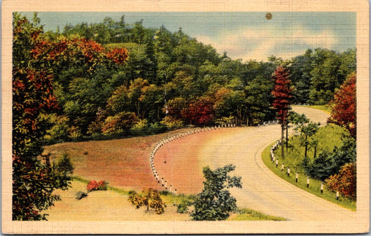 Vintage Postcard Country Road Greetings Waterloo New York Posted 1941