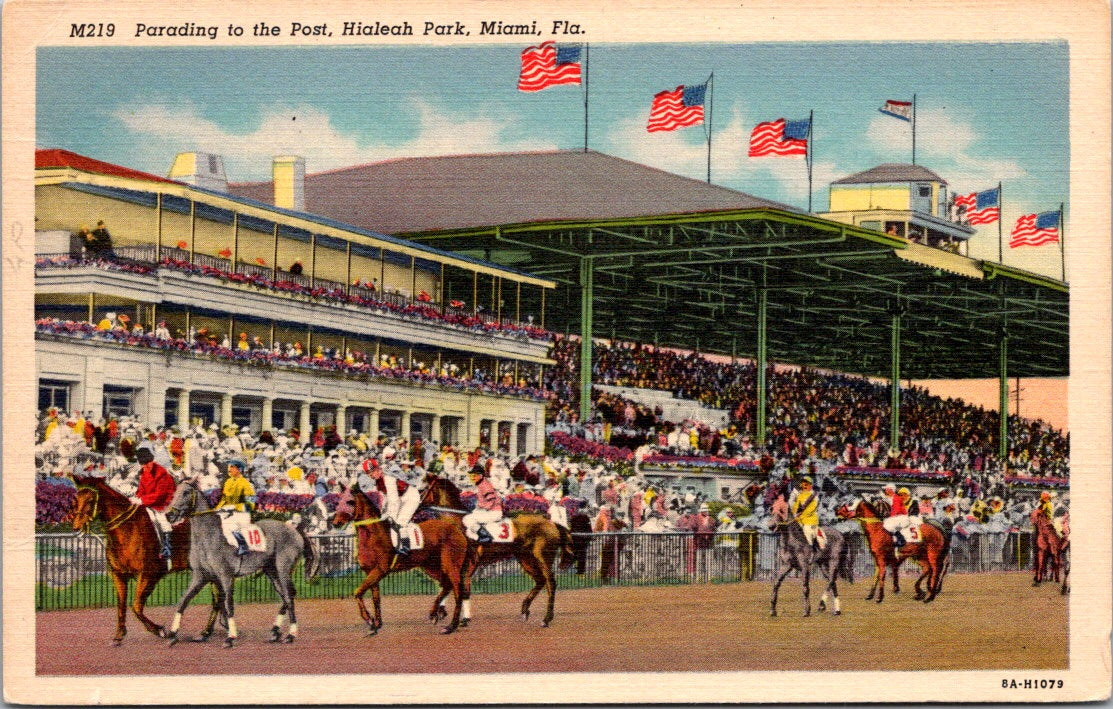 Vintage Postcard Parading To The Post Hialeah Park Miami Florida United States