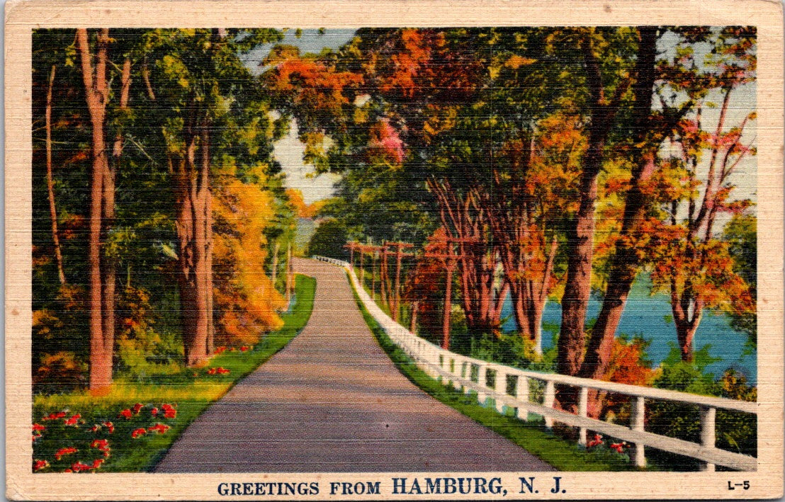 Vintage Postcard Greetings From Hamburg New Jersey United States Posted 1948