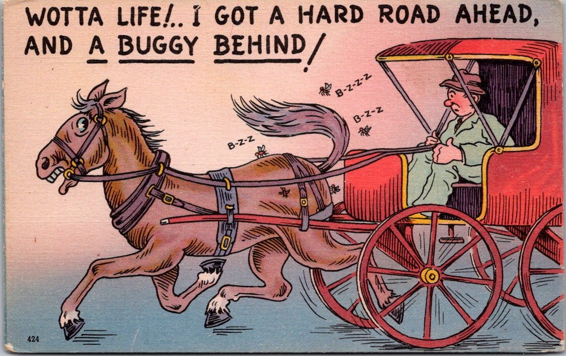 Vintage Postcard Horse What A Life I Got A Hard Road Ahead And A Buggy Behind