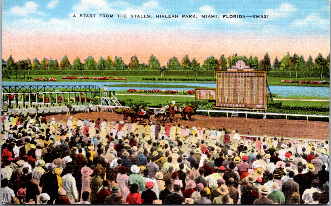 Vintage Postcard Horse Prance A Start From The Stalls Hialeah Park Miami Florida