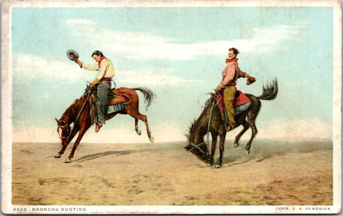 Vintage Postcard Photo Of Broncho Busting Unposted