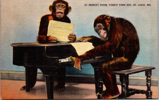 Vintage Postcard Monkey Show Forest Park Zoo Saint Louis Missouri Posted 1942