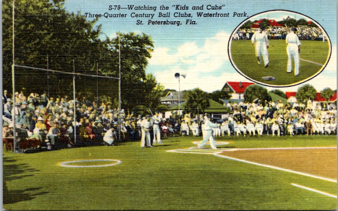 Vintage Postcard Watching The Kids And Cubs Waterfront Park Florida Unposted