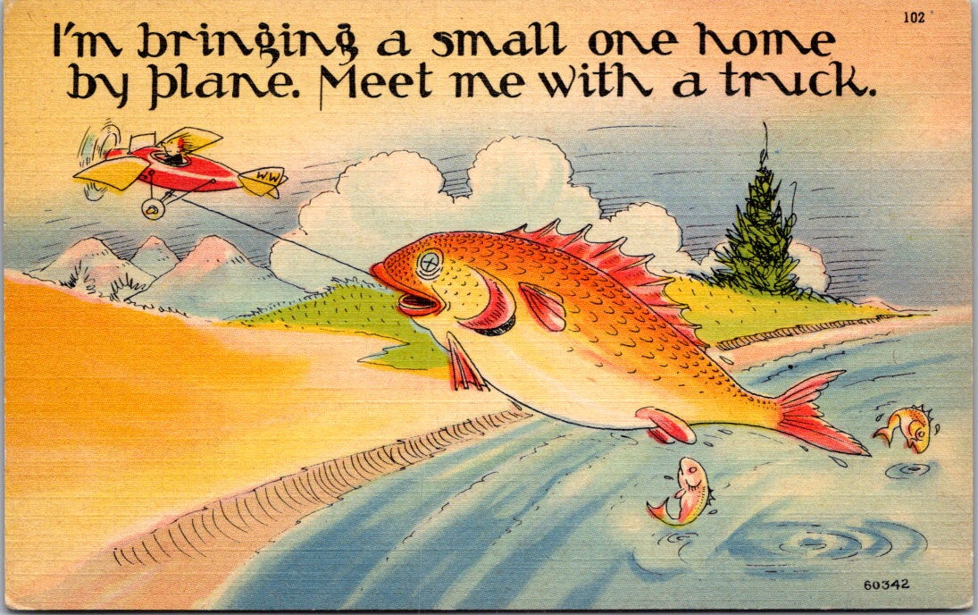 Vintage Postcard I'm Bringing A Small One Home By Plane Meet Me With A Truck