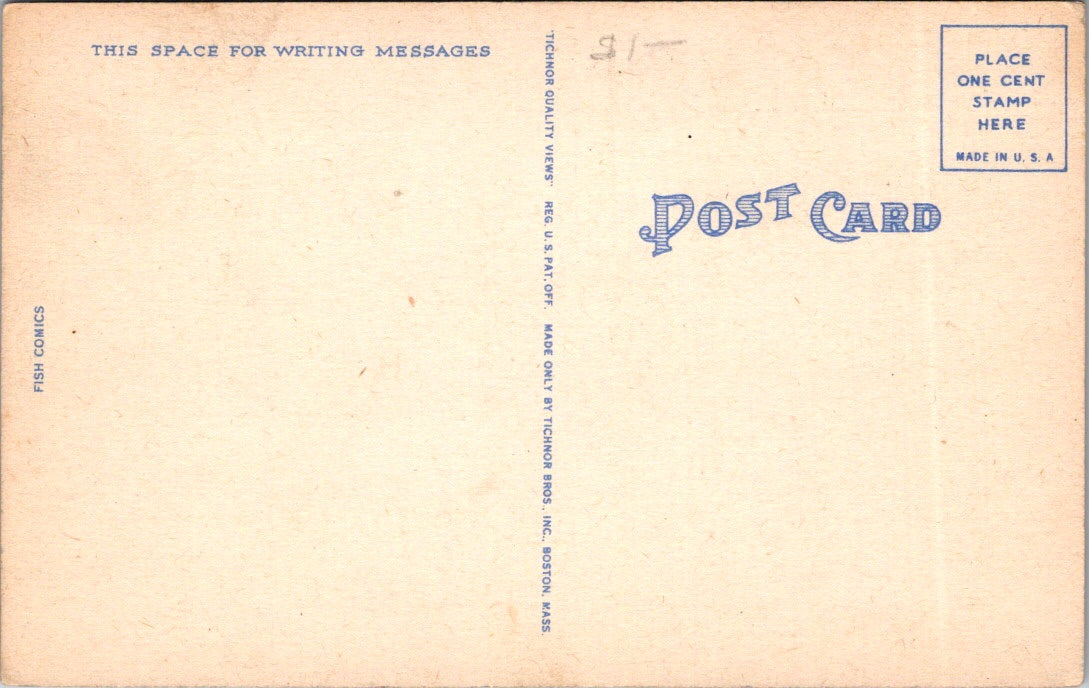 Vintage Postcard I'm Bringing A Small One Home By Plane Meet Me With A Truck