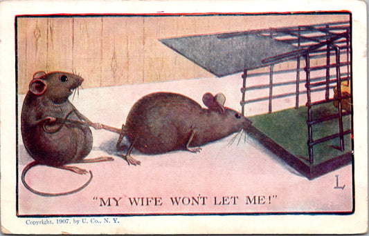 Vintage Postcard Two Rats My Wife Won't Let Me Photo Unposted