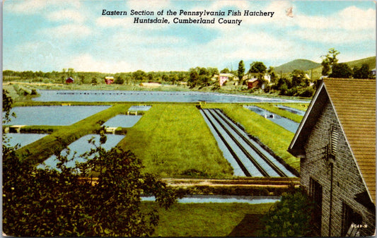 Vintage Postcard Eastern Section Of Pennsylvania Fish Hatchery Cumberland County