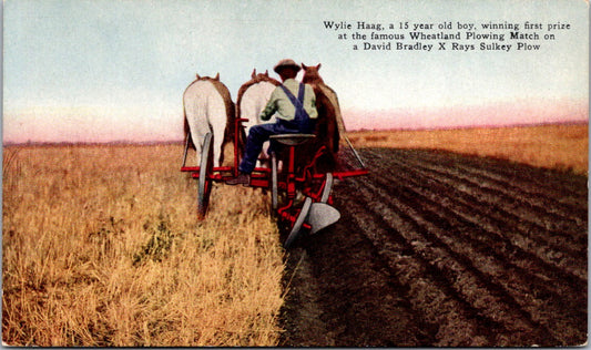 Vintage Postcard Wylie Haag Winning First Prize At Famous Wheatland Plowing