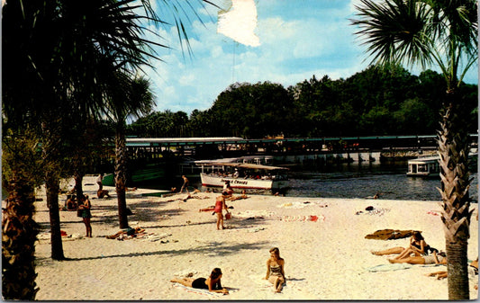 Vintage Postcard Visitors To Florida's Famous Silver Springs United States