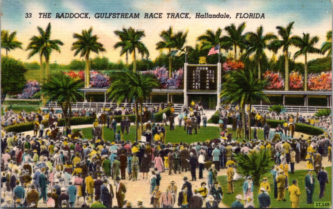 Vintage Postcard The Paddock Gulfstream Race Track Hallandale Florida Unposted